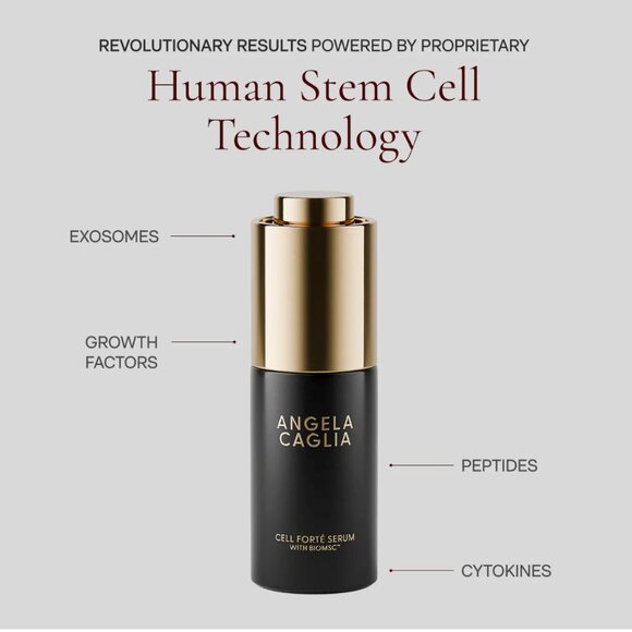 Angela Caglia - 3 in 1 Kit - BRAND NEW! - Picture 3 of 9